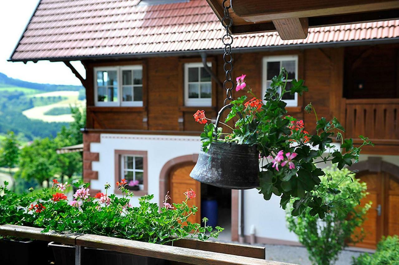 Riehle Hof Apartment Zell am Harmersbach Exterior foto